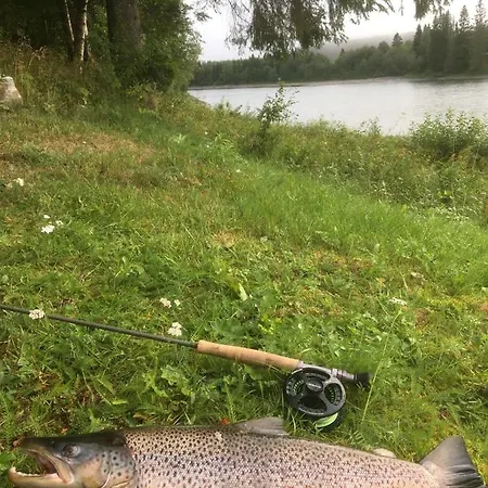 Bakarstuo, Utpa Neset Casa vacanze Trofors
